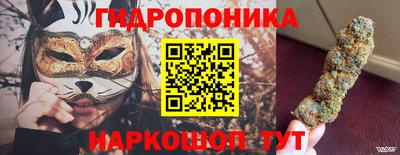 гидропоника Владимир
