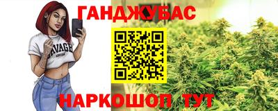 гидропоника Владимир